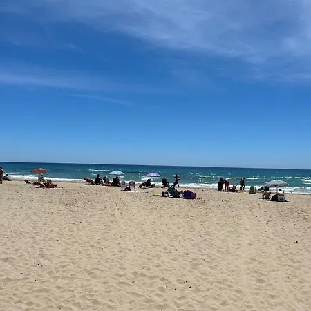 Playa De Oro 14c Appartement